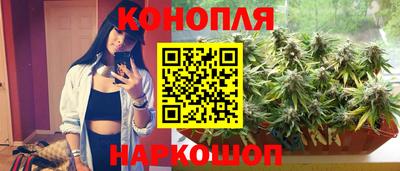 прущая мука Кимры