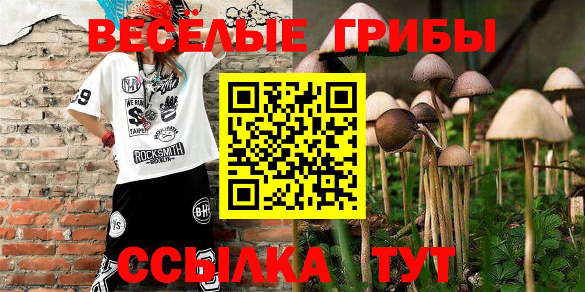 Галлюциногенные грибы Psilocybine cubensis Кудрово